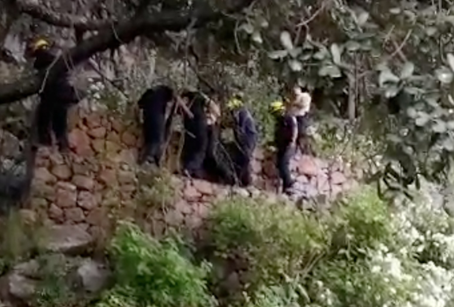 Rescata Protección Civil a hombre que cayó de un cerro