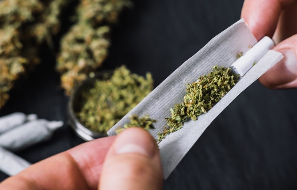 Defiende Malú uso lúdico de la marihuana