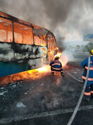 Celaya es la ciudad más violenta del mundo