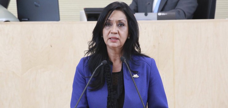 Deben cuidar que se cumpla con la ley: Lety Villegas sobre compra de terrenos de Munpic