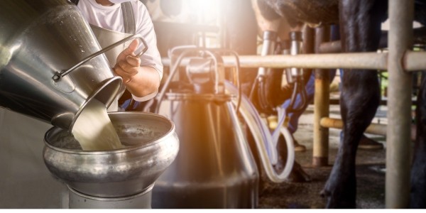 Se encarecen insumos de sector lechero hasta 70%