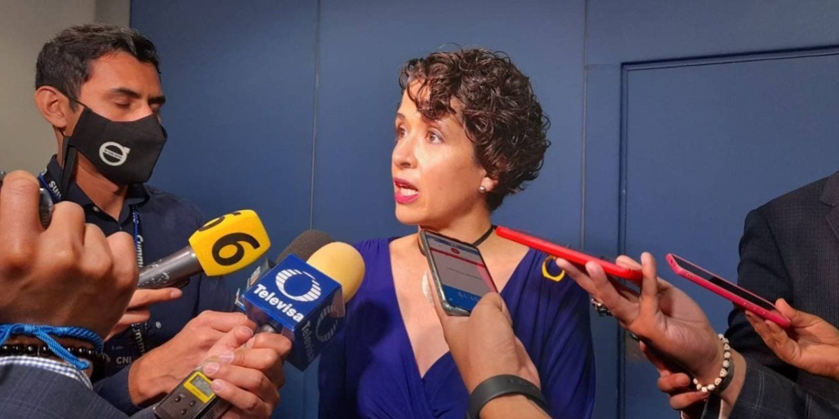 Puma, ocelote, gato montés o perros ferales, pero no un tigre el que anda por Apaseo el Grande