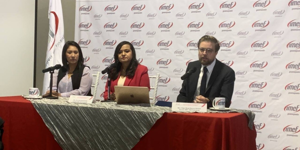 Sería Guanajuato uno de los estados más afectados con reforma eléctrica: IMEF