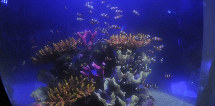 Se unen para ofrecer descuentos a huéspedes y trabajadores