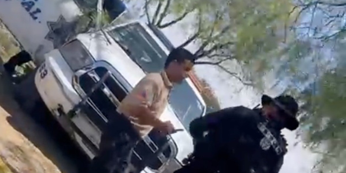 Choca patrulla de Policía contra poste y árbol