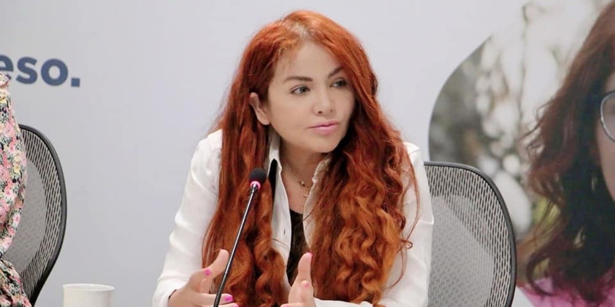 Abandona diputada Hades Aguilar comisión porque su trabajo “es de campo“