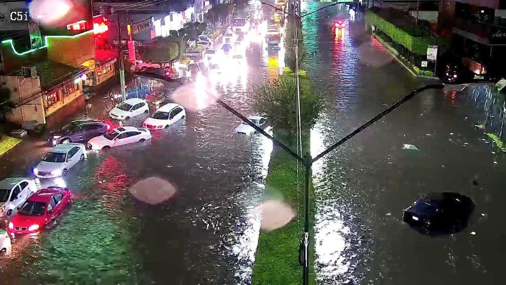 Azota tromba a León, caen 35 árboles