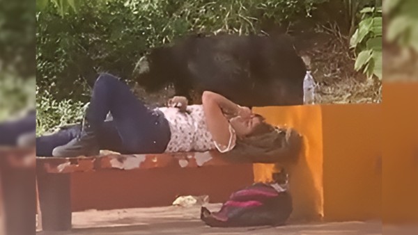 ¡Si no me muevo, no me ve! Universitaria a Oso