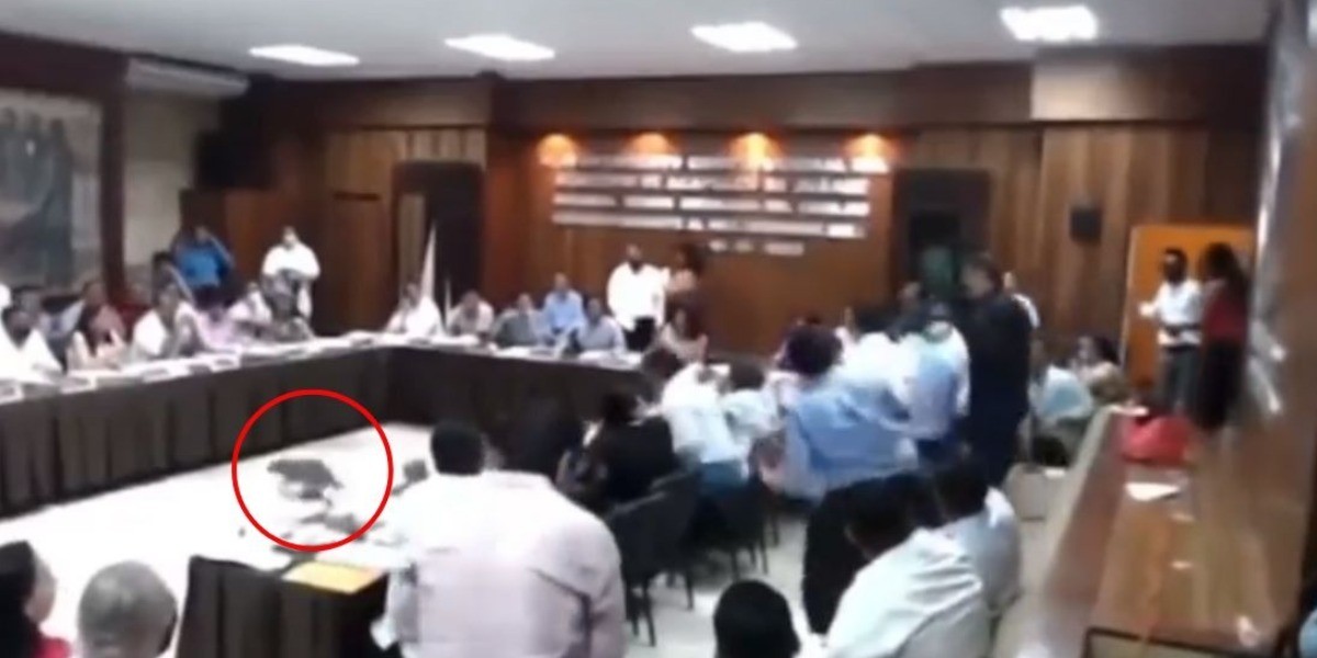 ¡Como de película! ‘Llueven’ mapaches en Acapulco