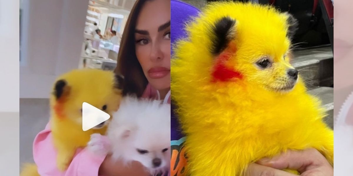 Tunden a Ninel Conde por intentar cruzar a su perrita con ‘Pikachu’