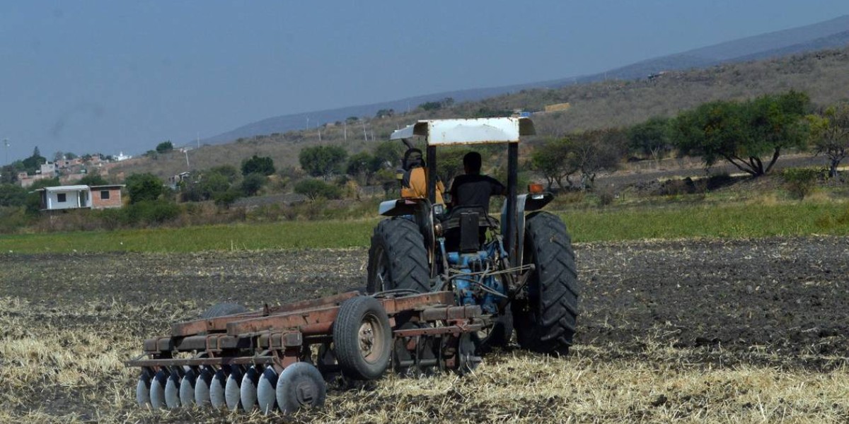 Estrés hídrico, el principal reto para campo de Guanajuato en 2023
