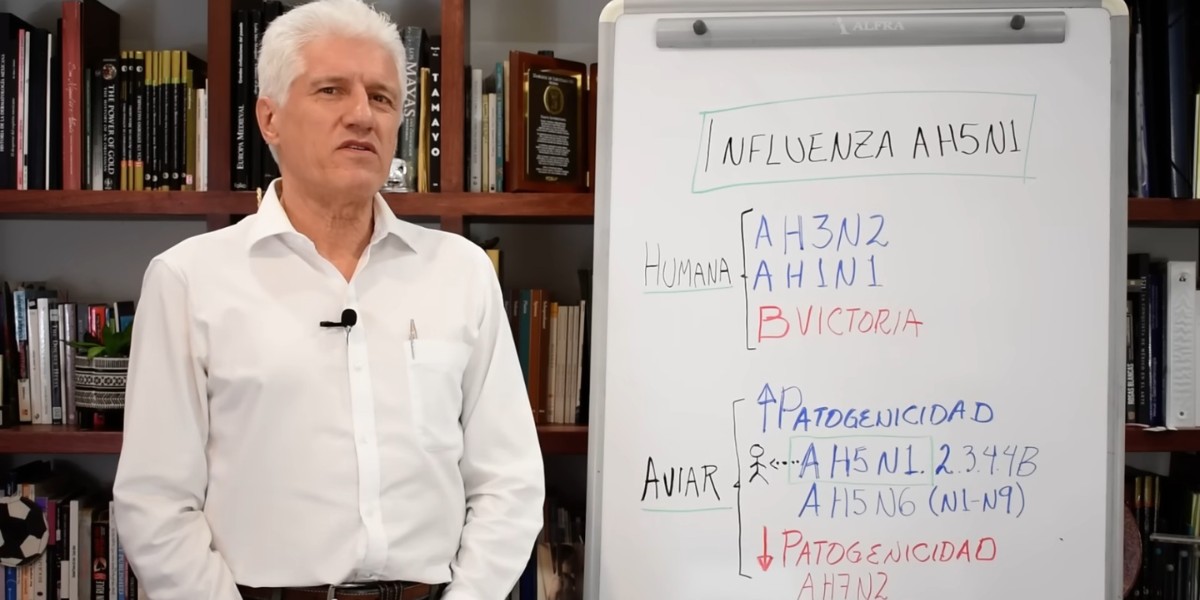 Influenza aviar podría ser una pandemia peor que la de Covid, advierte Alejandro Macías