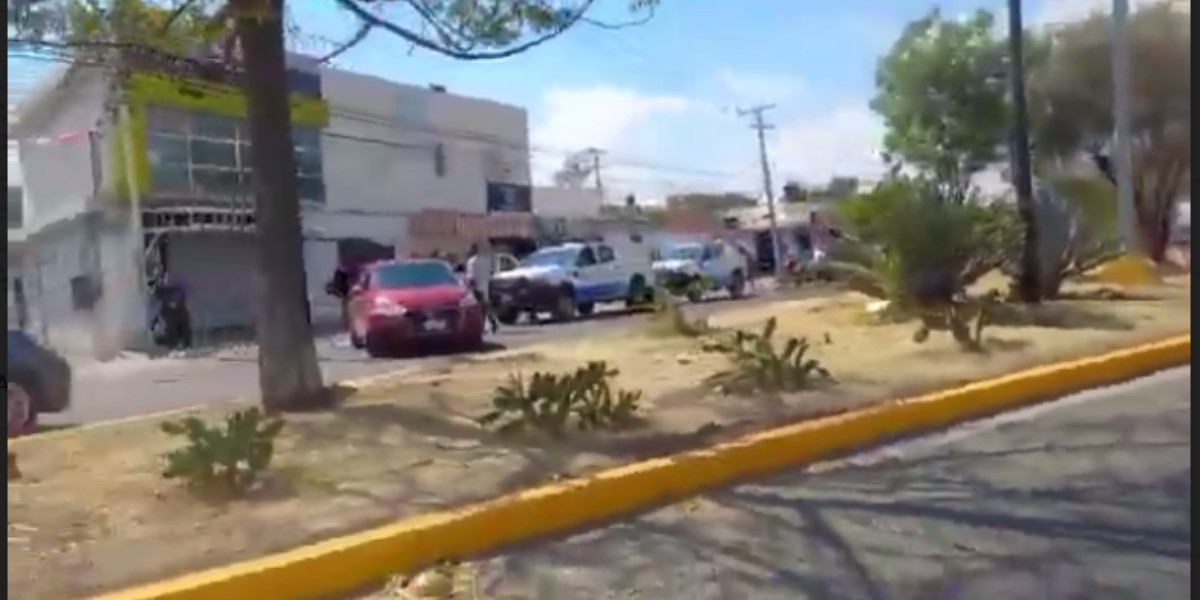 Taxistas ejecutivos evitan detención de compañero en el Juan Alonso de Torres