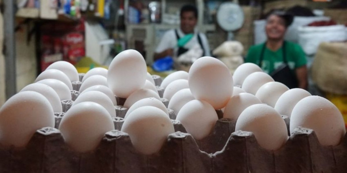 Desarrollo Rural descarta desabasto de huevo en León; hay suficiente producción