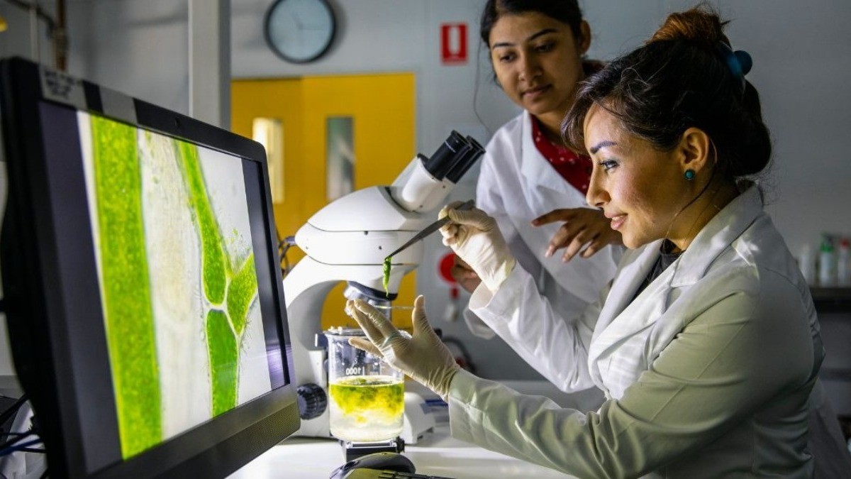 Guanajuato, entre los seis estados que concentran la mitad de mujeres estudiantes de ciencias del país