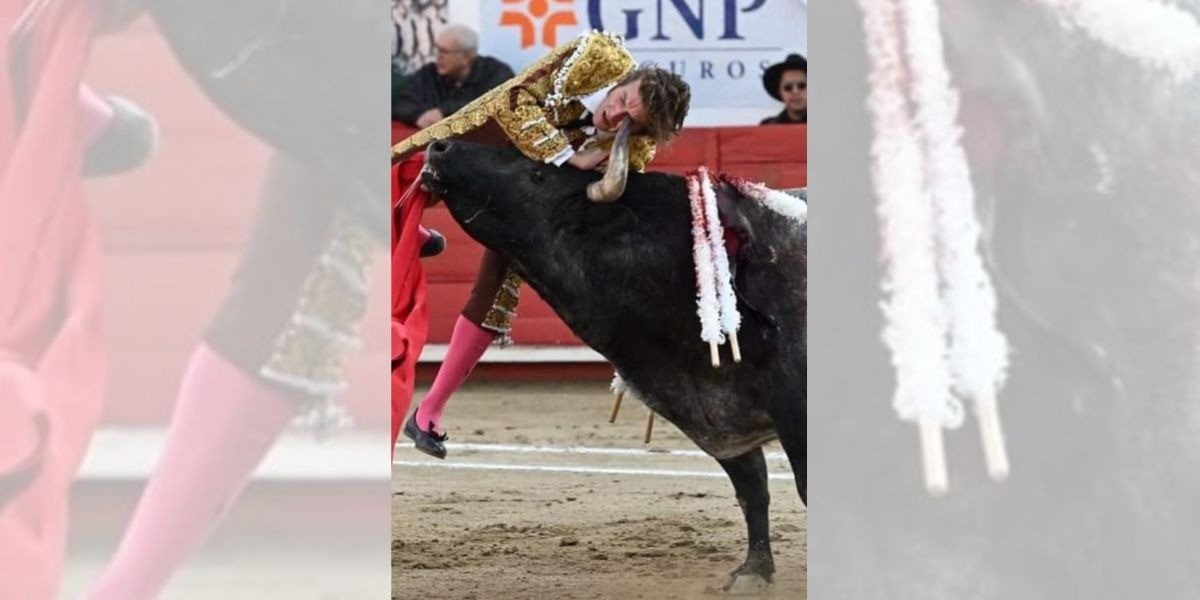 Octavio García 'El Payo' sufre cornada en Plaza de Toros La Luz