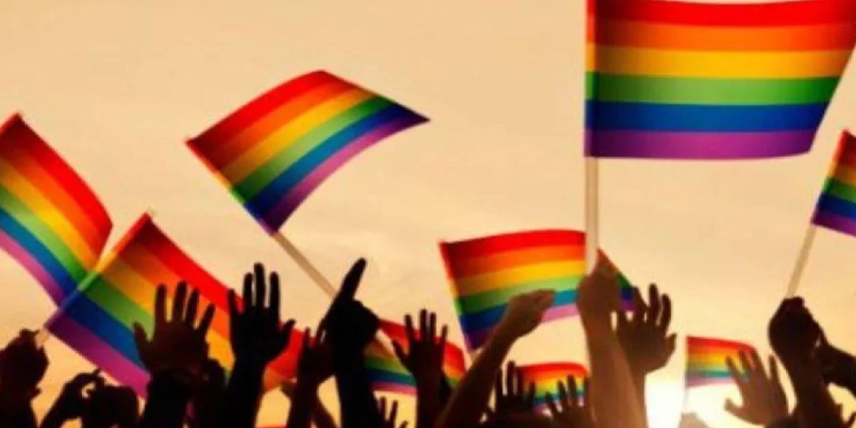 Descarta Cristina Márquez abordar iniciativa para que quede permitido el matrimonio gay en Guanajuato