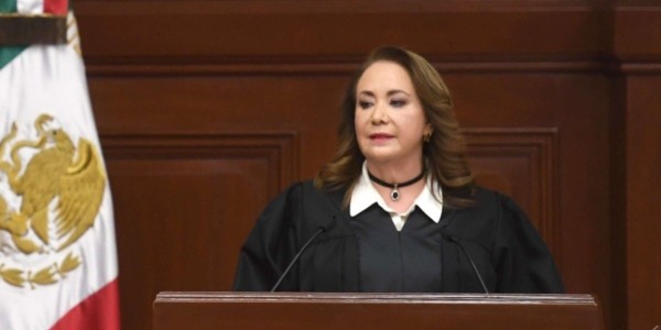 Yasmín Esquivel también plagió su tesis de doctorado