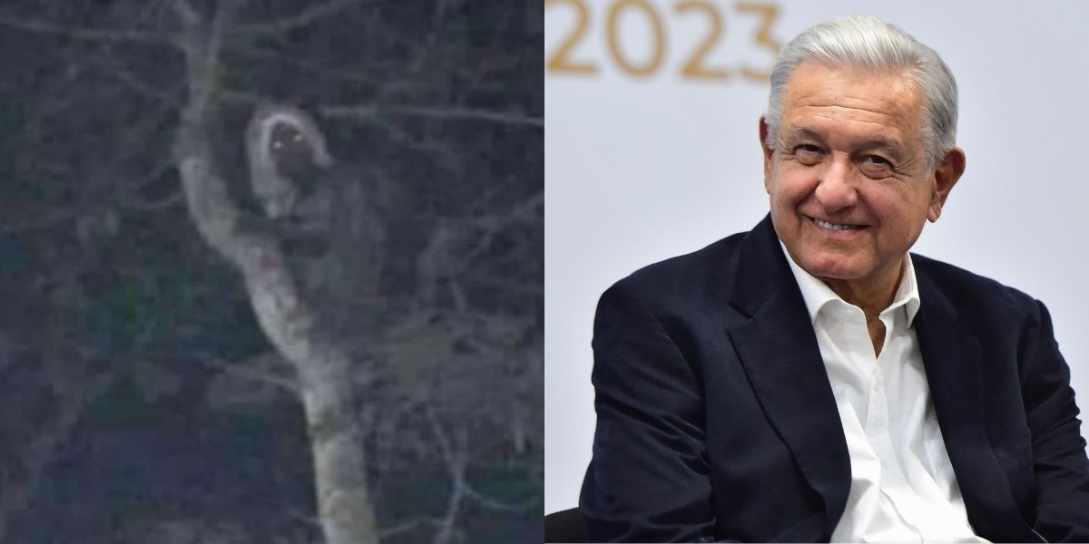 Tunden a AMLO por difundir 'foto de aluxe’ en obras del Tren Maya