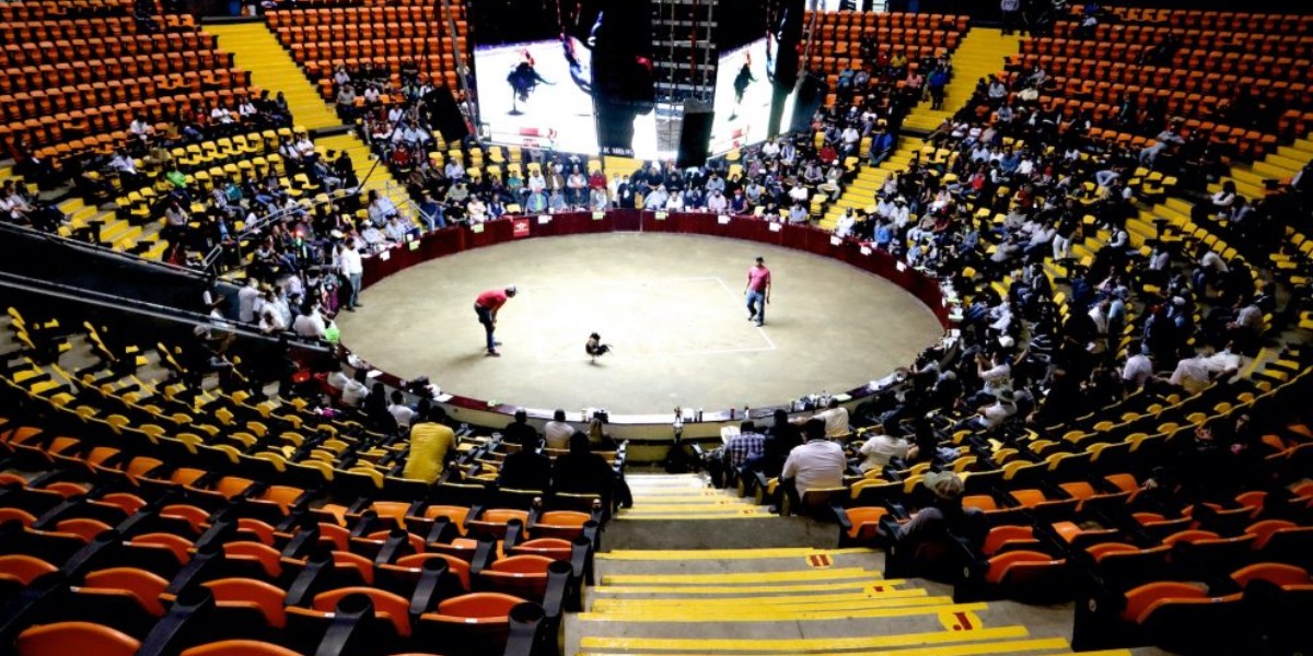 Para evitar llegada de grupos criminales proponen eliminar peleas de gallos en ferias