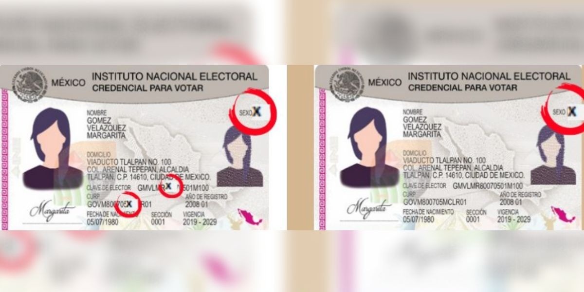 INE emitirá credenciales para personas no binarias