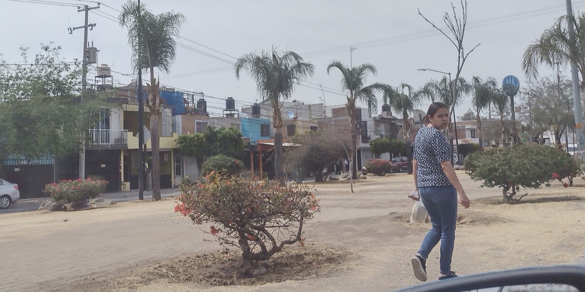 Anuncian la construcción del ‘Parque Lineal Jerez’ en el Bulevar Épsilon