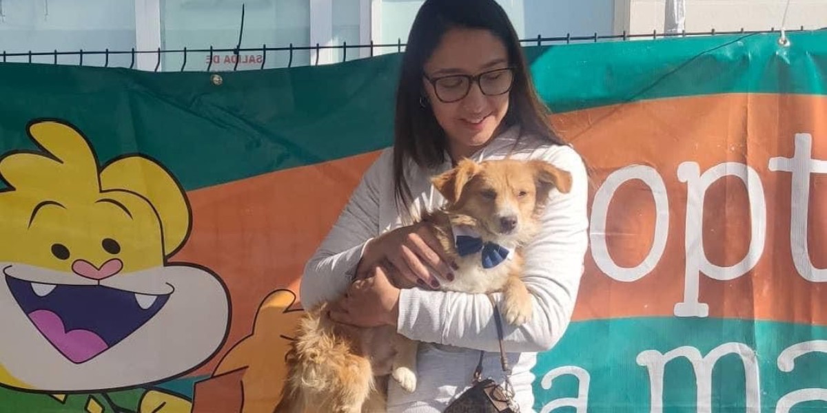 En León ya puedes adoptar a una mascota en Línea