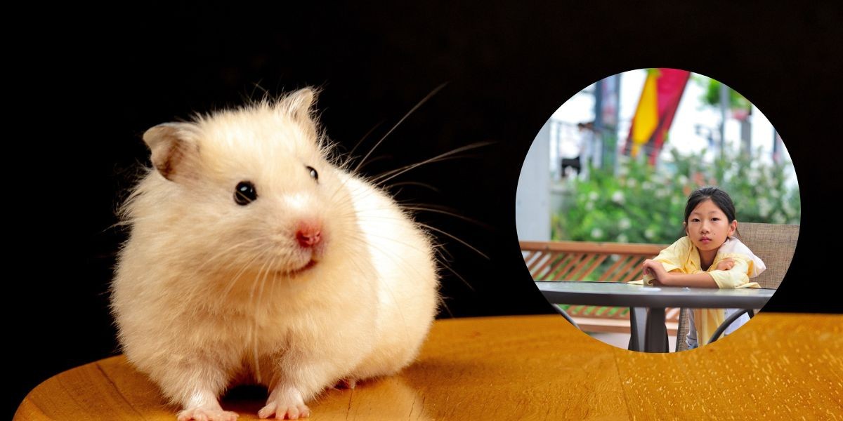 Adolescentes chinos se desprecian y se llaman ratas a sí mismos
