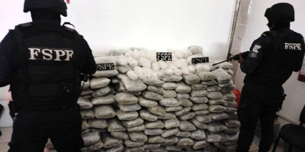 Aseguran FSPE 350 mil dosis de droga en Villagrán