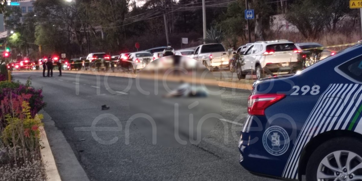 Hombre muere arrollado por un vehículo en Avenida Insurgentes