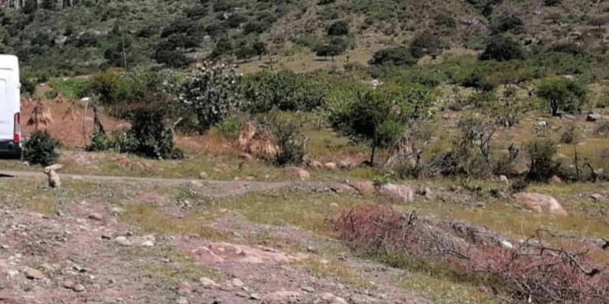 Vecinos hallan el cadáver de una mujer en la comunidad Refugio de Rosas