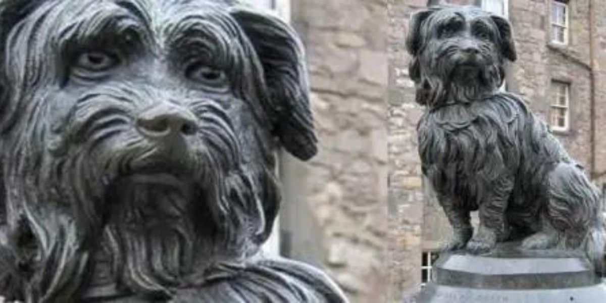 Bobby, el perrito que custodió la tumba de su dueño por 14 años