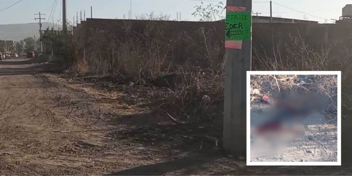 Localizan dos cuerpos en Villas de San Juan 