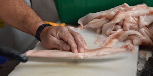 Destruyen 500 kilos de productos del mar en Operativo Cuaresma