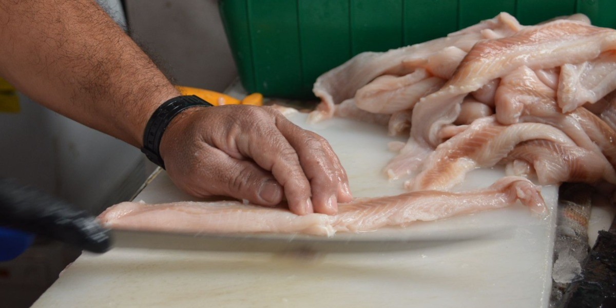 Destruyen 500 kilos de productos del mar en Operativo Cuaresma