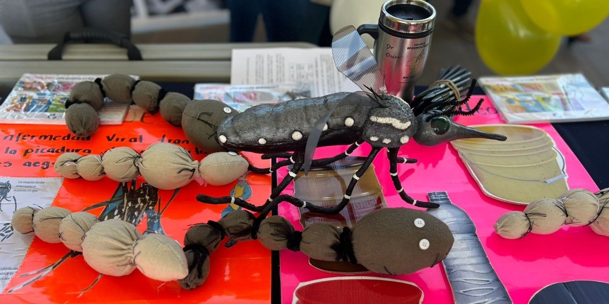 Descartan 14 casos de dengue, arranca campaña contra el mosquito