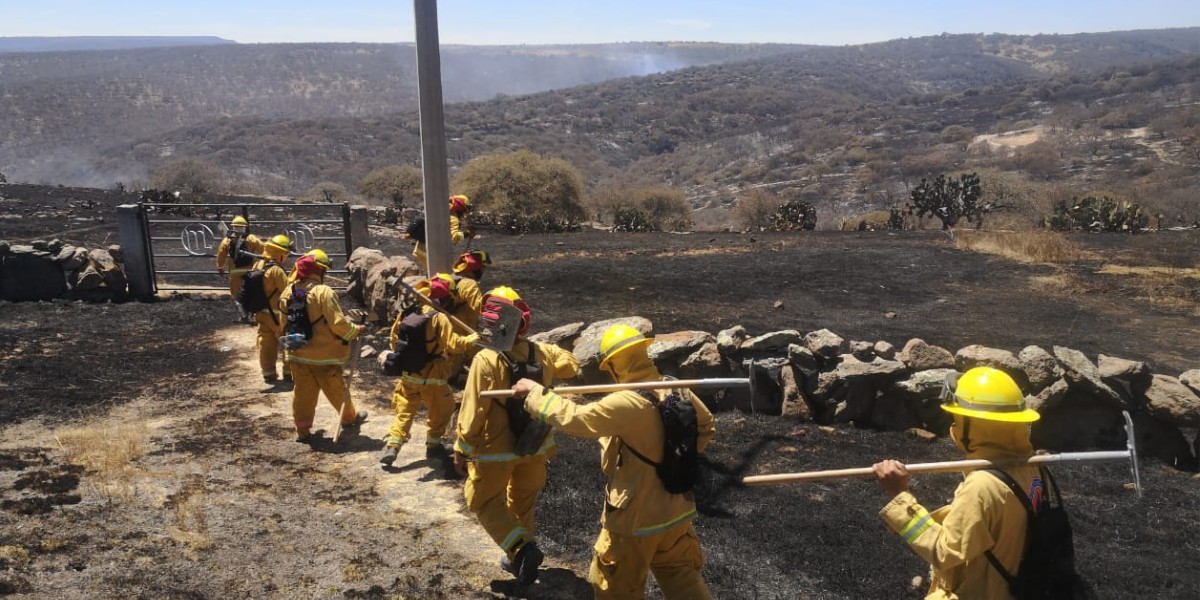 Incendio arrasa con más de 200 hectáreas de la Sierra de Lobos en León