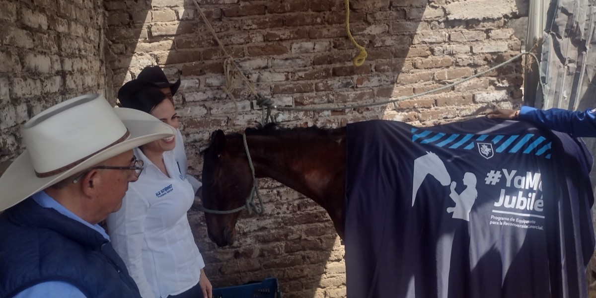 Amplían programa para canjear caballos por motos