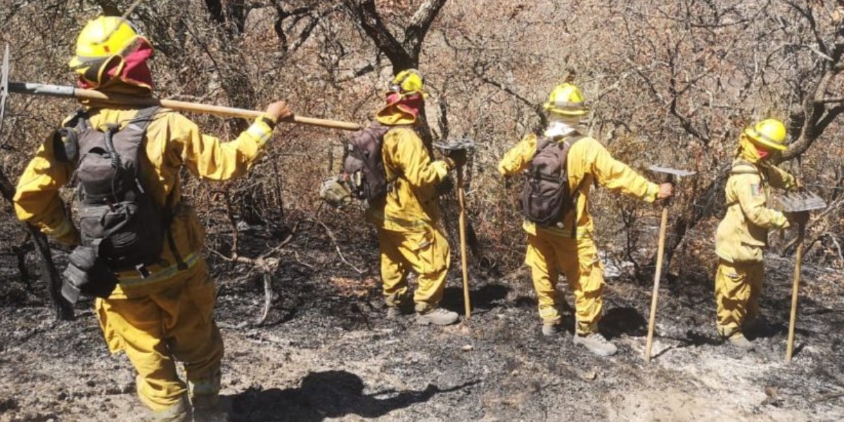 Piden extremar precauciones para prevenir incendios