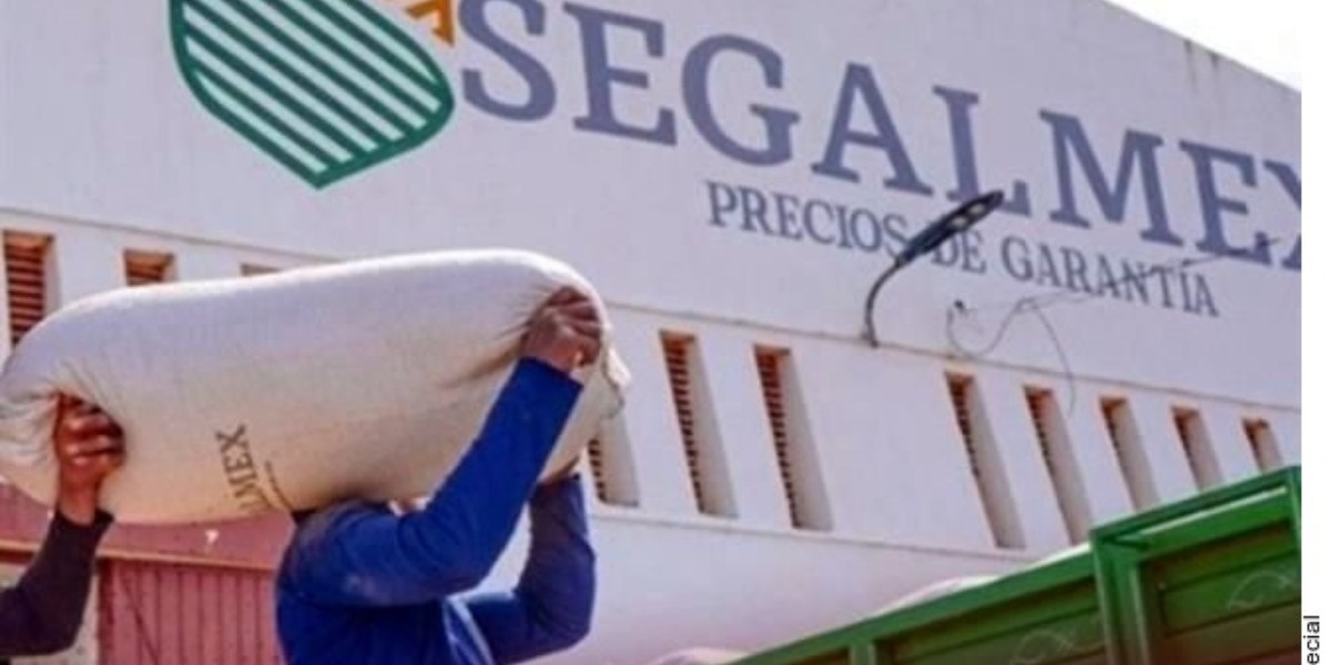 Caen dos más por caso Segalmex; suman 10 procesados