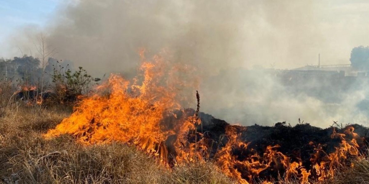 Atienden Bomberos cerca de 200 quemas de pastizales al día en León