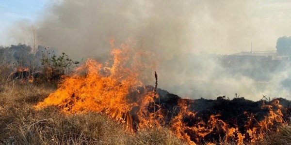 Atienden Bomberos cerca de 200 quemas de pastizales al día en León