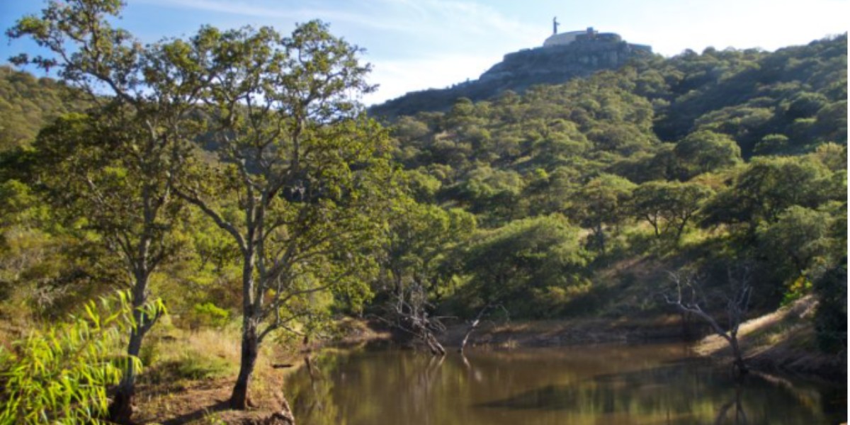 ¿Vacacionarás en zonas silvestres de Guanajuato?, especialista advierte de zoonosis