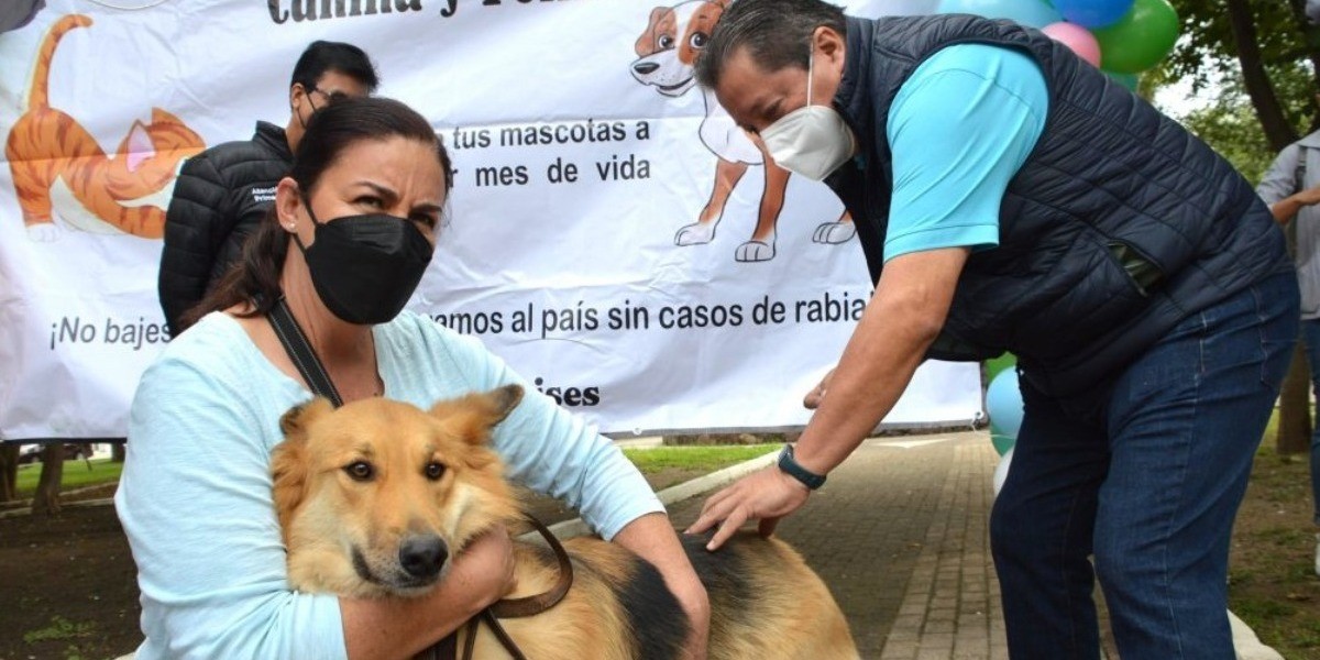 ¡Prepárate! Anuncian la campaña masiva de vacunación antirrábica en Guanajuato