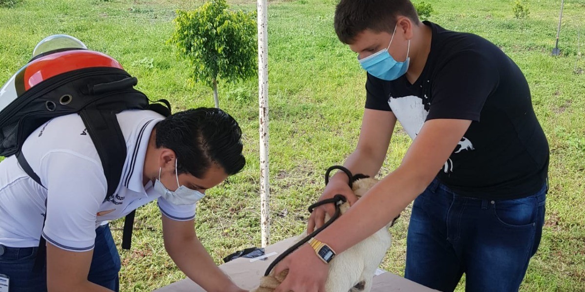 Estos serán los puntos para la vacuna antirrábica en León
