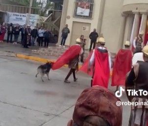 'Lomito' defiende a Jesucristo del Viacrucis y se hace viral