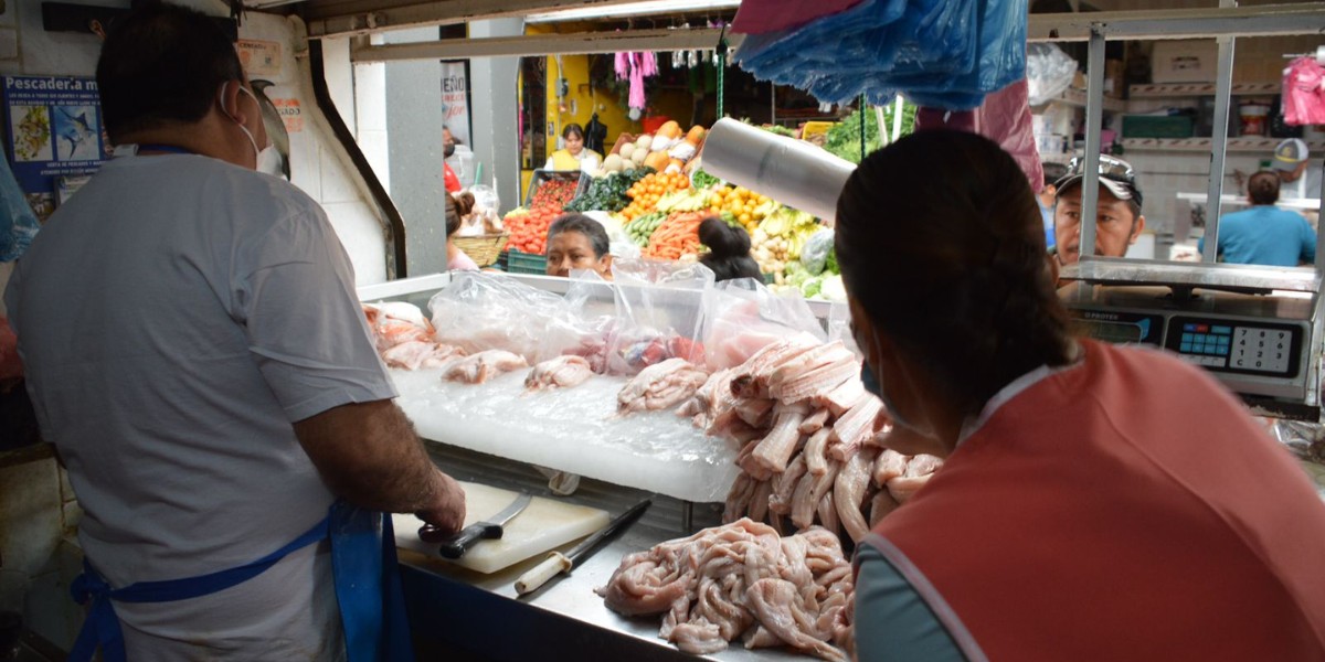 Destruyen en Guanajuato más de 300 kilos de pescado no apto para consumo humano