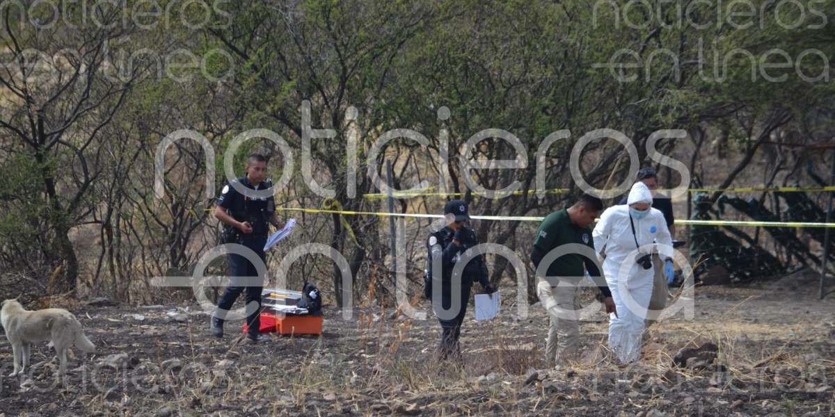 León: Perro llega a su casa con un cráneo humano