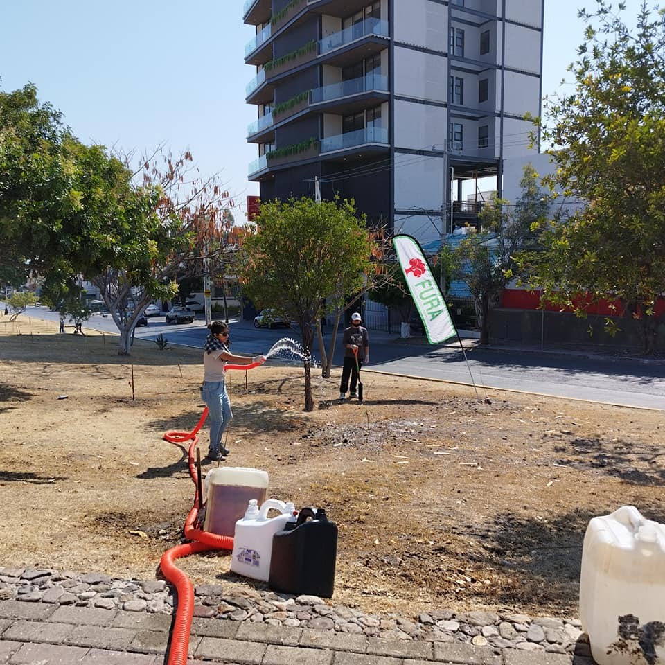 Compensación de árboles en León solo es del 10%, critica FURA