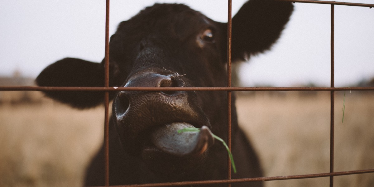 Inseguridad, uno de los principales problemas del campo en Guanajuato: INEGI